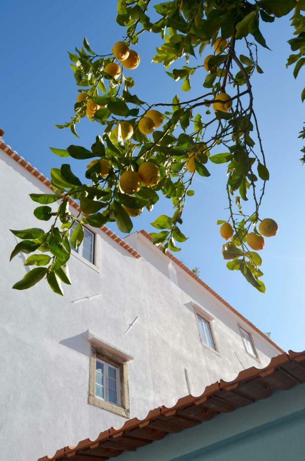 Proa D'Alfama Guest House Lisboa Eksteriør bilde